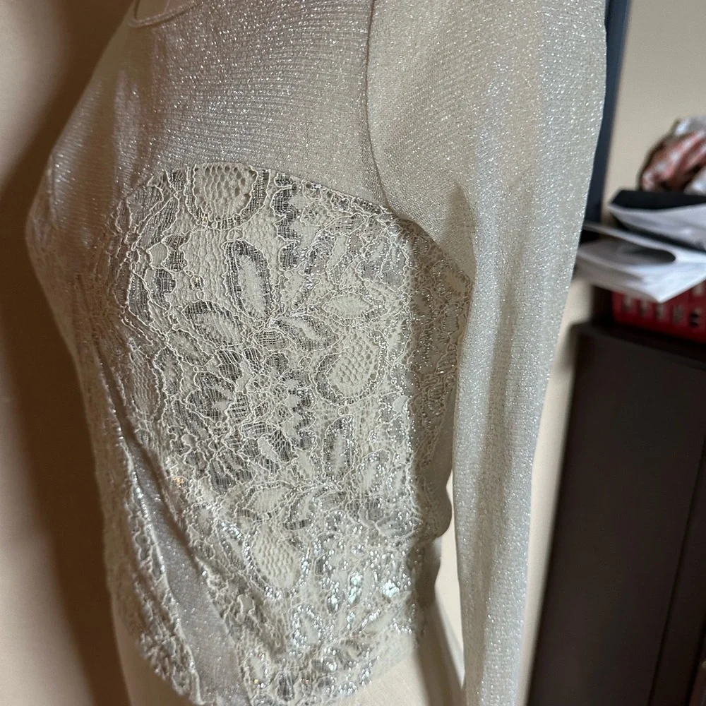 Kimchi Blue Sheer Shimmer Long Sleeve Top With Lace. Size Medium